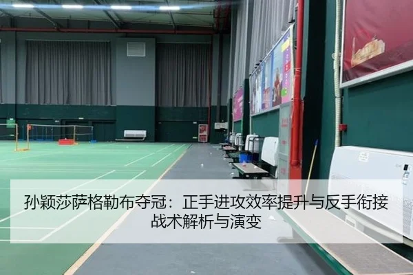 孙颖莎萨格勒布夺冠：正手进攻效率提升与反手衔接战术解析与演变