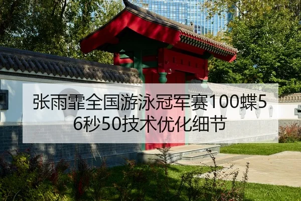 张雨霏全国游泳冠军赛100蝶56秒50技术优化细节